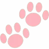 🐾