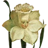 🌷