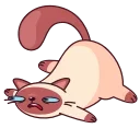 😩