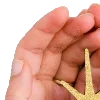 ⭐️