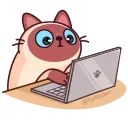 ⌨️
