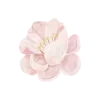 🌸