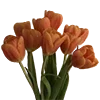 🌷