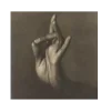 🤩