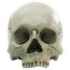 💀