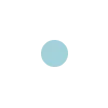 🟡
