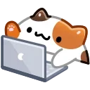🧑‍💻