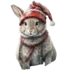🐰