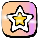 🌟