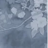 🤩