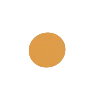 🟡
