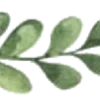 🌿
