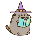 🧙‍♂