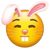 🐰