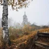 🍂