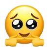 🥺