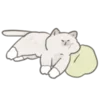 🐱