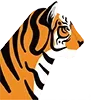 🐯