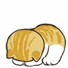 😴