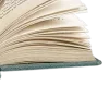 📖