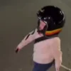 🧳