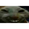 🙂
