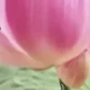 🗝
