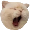 😴