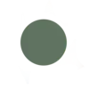 🟢