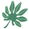 🍀