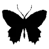🦋