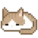 🐈