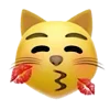 😽