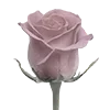 🌹