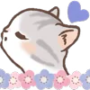 🐱