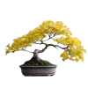 🌳