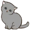 🐱