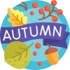 🍁