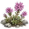 🤩
