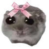 🐹