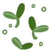 🌱