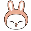 🐰