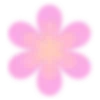🌸