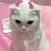 🎀