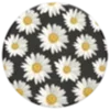 🌼