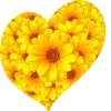 💛