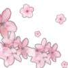 🌸