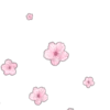🌸