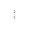 🌟