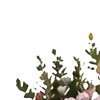 🤩
